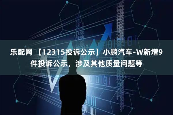 乐配网 【12315投诉公示】小鹏汽车-W新增9件投诉公示，涉及其他质量问题等
