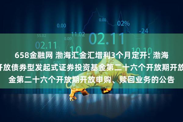 658金融网 渤海汇金汇增利3个月定开: 渤海汇金汇增利3个月定期开放债券型发起式证券投资基金第二十六个开放期开放申购、赎回业务的公告