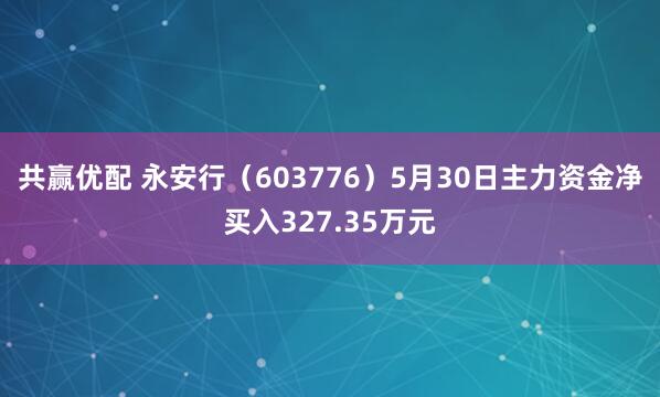 共赢优配 永安行（603776）5月30日主力资金净买入327.35万元