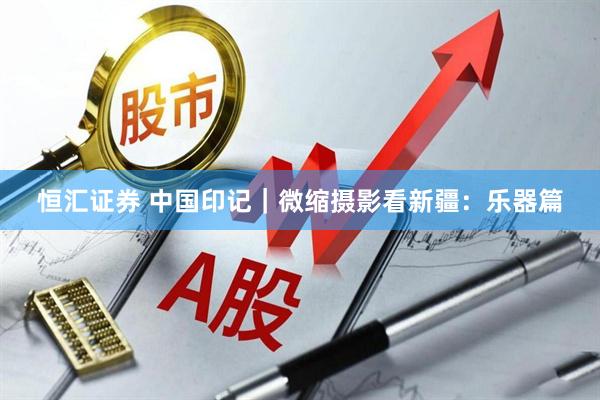 恒汇证券 中国印记｜微缩摄影看新疆：乐器篇
