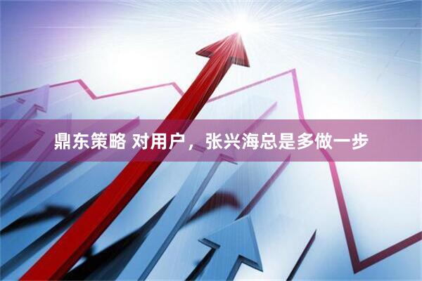 鼎东策略 对用户，张兴海总是多做一步