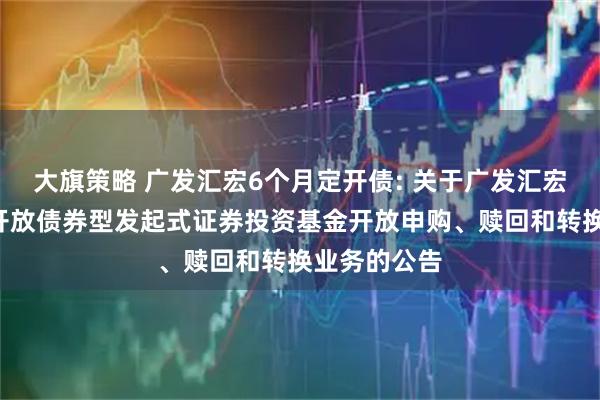 大旗策略 广发汇宏6个月定开债: 关于广发汇宏6个月定期开放债券型发起式证券投资基金开放申购、赎回和转换业务的公告