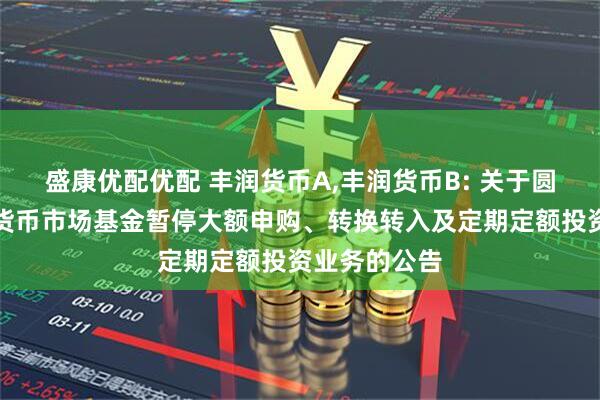 盛康优配优配 丰润货币A,丰润货币B: 关于圆信永丰丰润货币市场基金暂停大额申购、转换转入及定期定额投资业务的公告