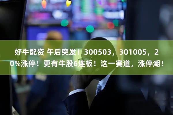 好牛配资 午后突发！300503，301005，20%涨停！更有牛股6连板！这一赛道，涨停潮！